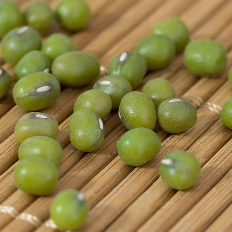Wholesale High Quality Green Vigna Mung Beans
