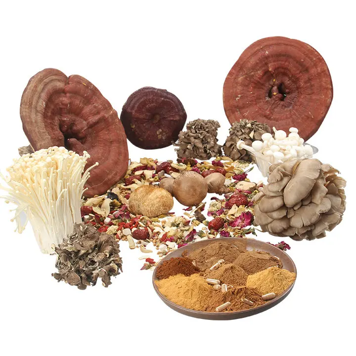 Lentinan raw material powder Shiitake Extract Powder