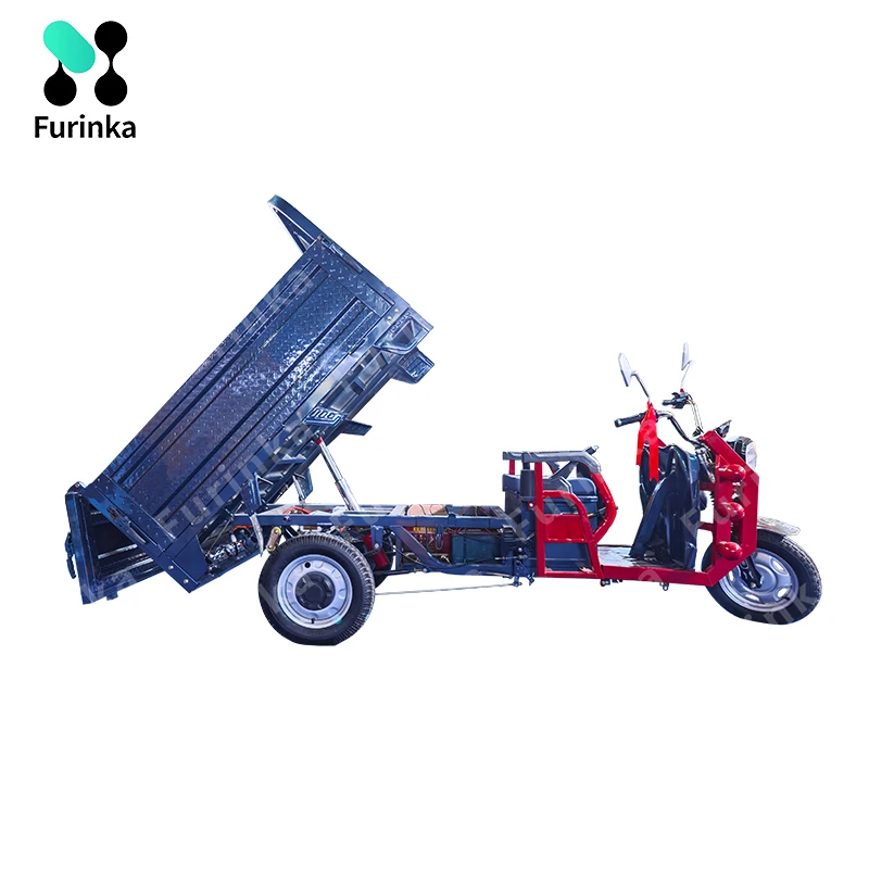 Manufacturers Direct 1.6m Cargo Motorcycle 1000 Watt Three-Wheeled Electric Tricycle for Adults Farm Transport