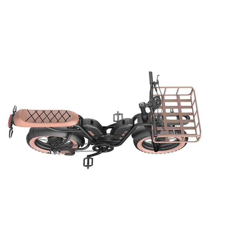 Electric Double Scooter Motor Electric Mountain Bike Family Cargo Speed Bike With Seat