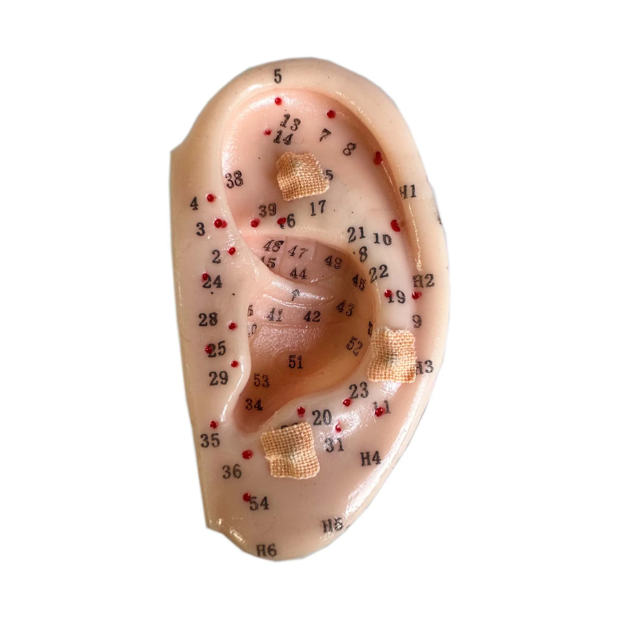 Acupuncture Vaccaria Ear Seeds 600 Counts Disposable Ear Press Seeds Multi-Condition Ear Seed Acupressure Kit (10 Plates)