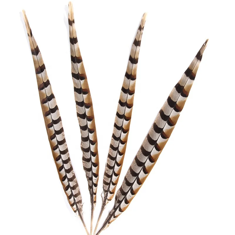 Cheap sale Natural 40-45 cm Reeves Pheasant Tail Feather for trinidad carnival dance performance costume