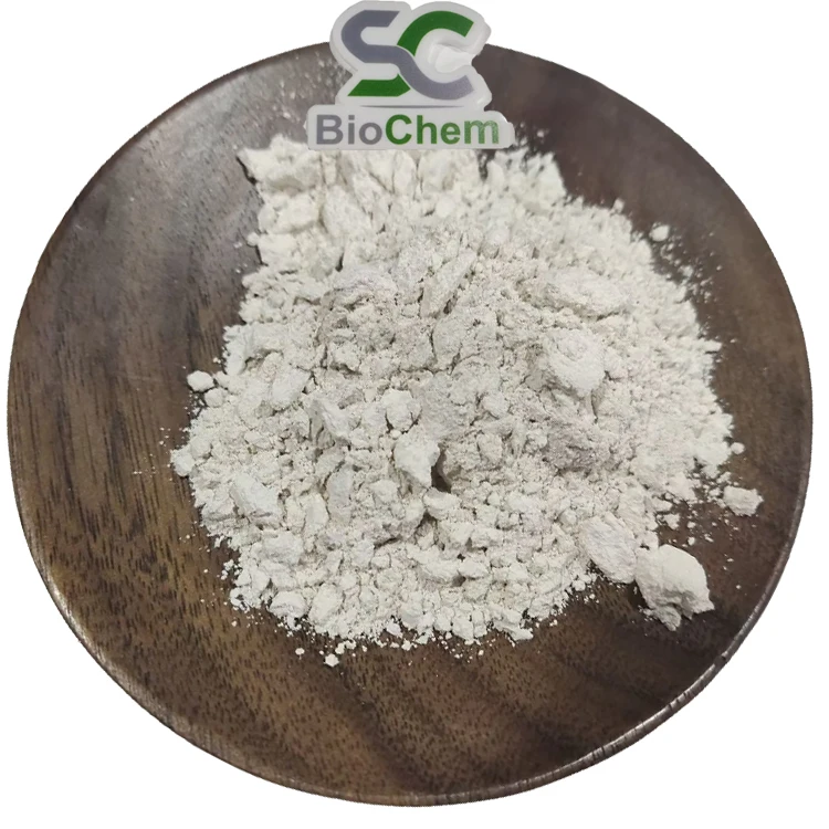 Best price Pure Garcinia Cambogia Extract HCA 50% 60% hydroxycitric acid  with high quality