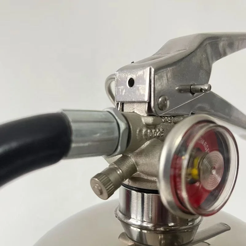 CE & EN3 2L Stainless Steel Cylinder Foam Fire Extinguisher