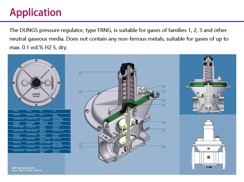 FRNG 5065  (1)yy.jpg