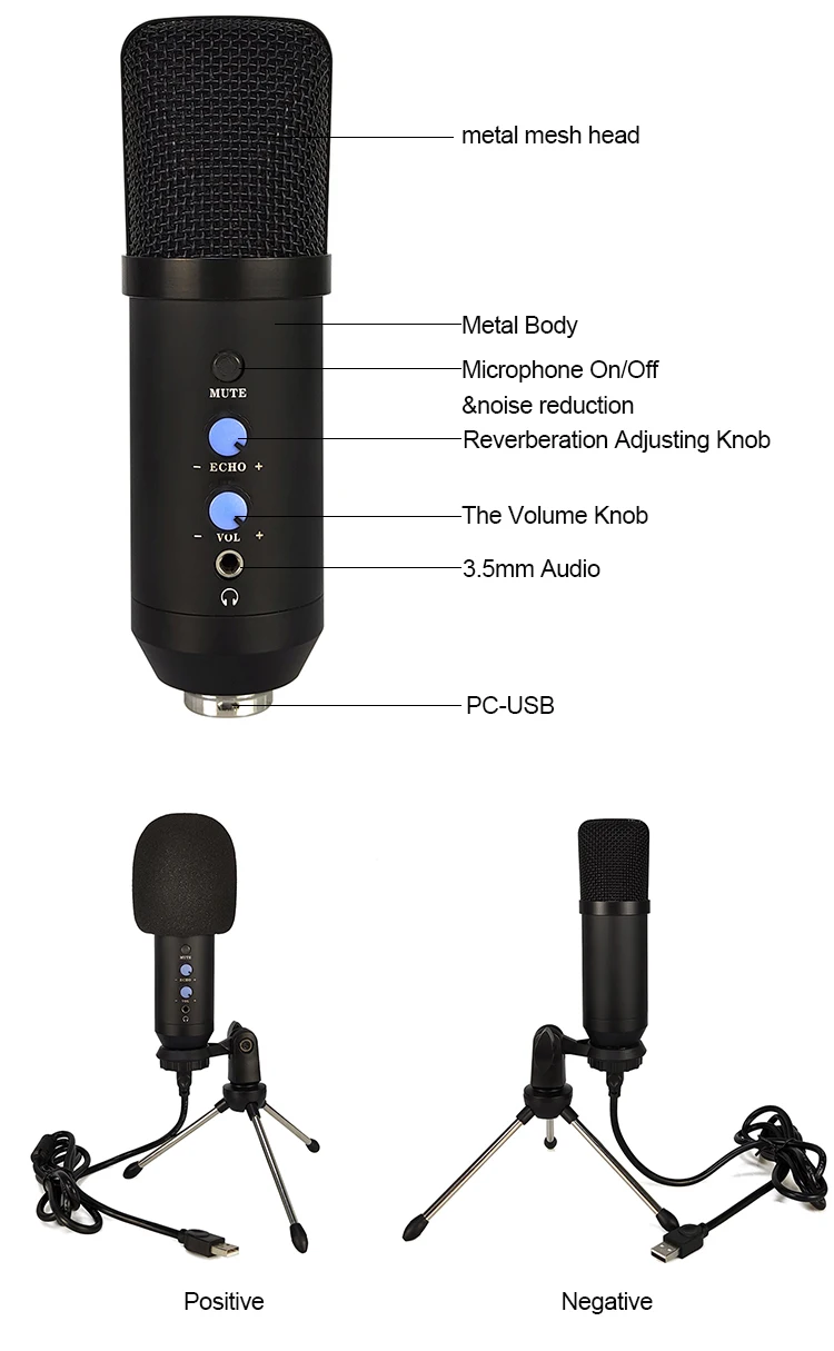 Usb Microphone for Zoom and Google Duo Phantom Microphone Soundking Microphone Recording Voice Over