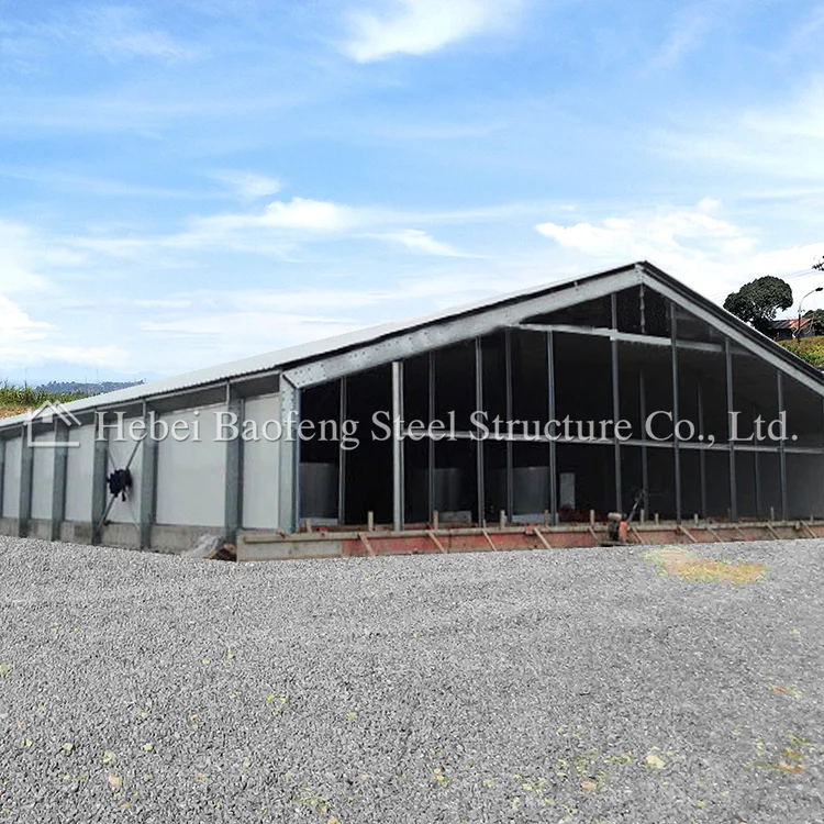 Большая куриная ферма специальный фермерский сборный стальной корпус куриный