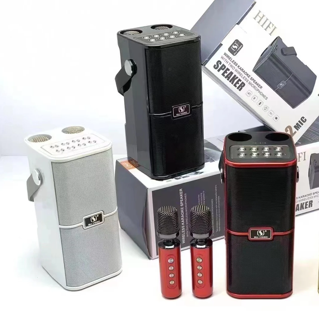 High quality Subwoofer speaker With Double Microphones Home Entertainment Outdoor Portable Wireless Karaoke Speaker