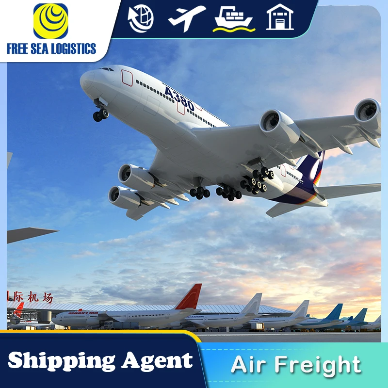 Shipping Agent Sea Freight Forwarder  From China To Saudi Arabia Egypt Turkey