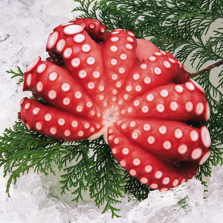 High quality wholesale seafood cooked canned octopus live