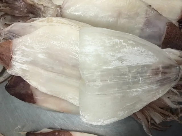 
Dried Squid skinless 