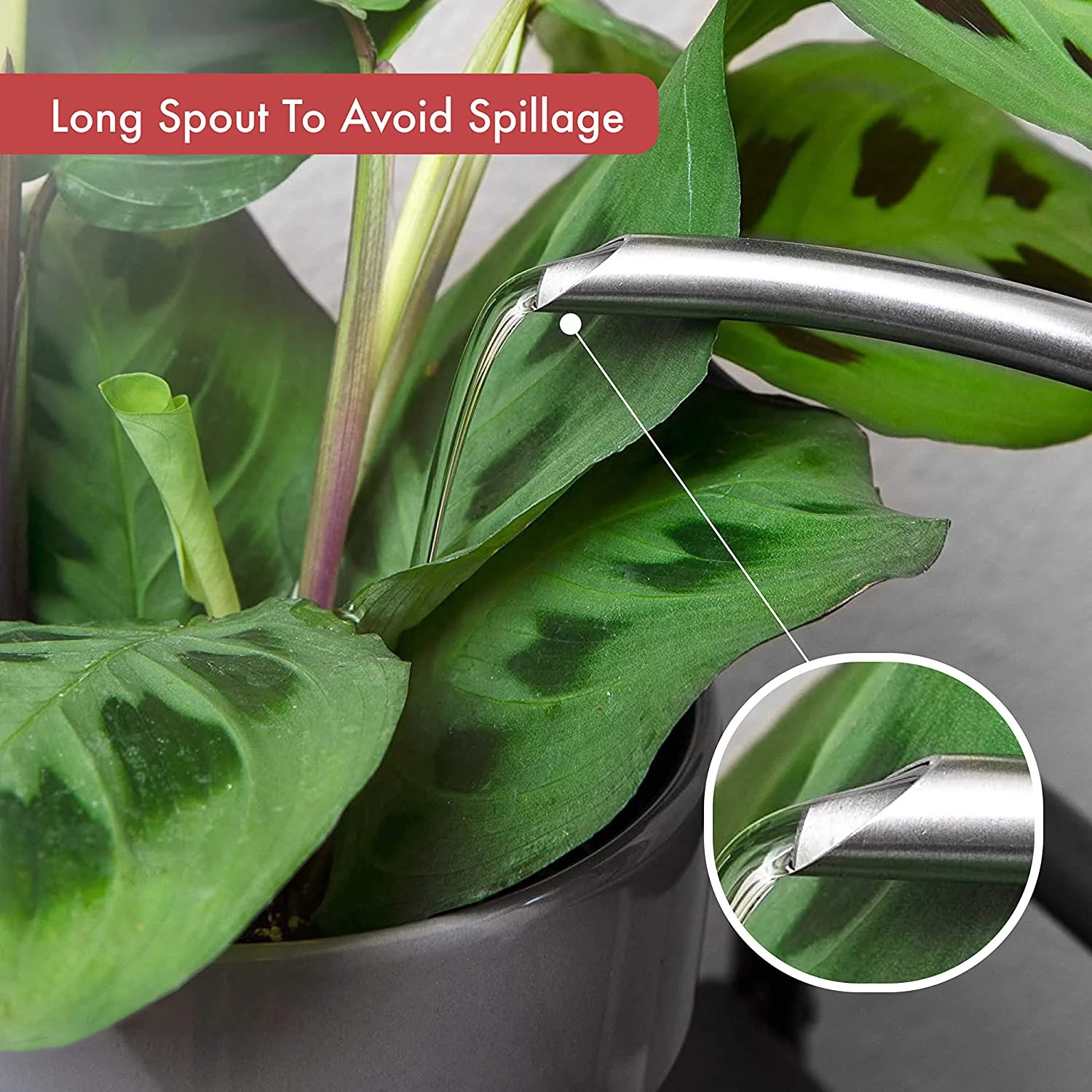 Stainless Steel Watering Can Metal Watering Can with Long Spout to Prevent Spillage Perfect Plant Watering Can