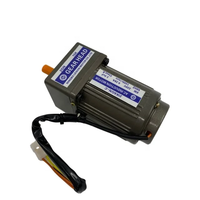 6W AC Small Gear Induction Motor with Speed Controller