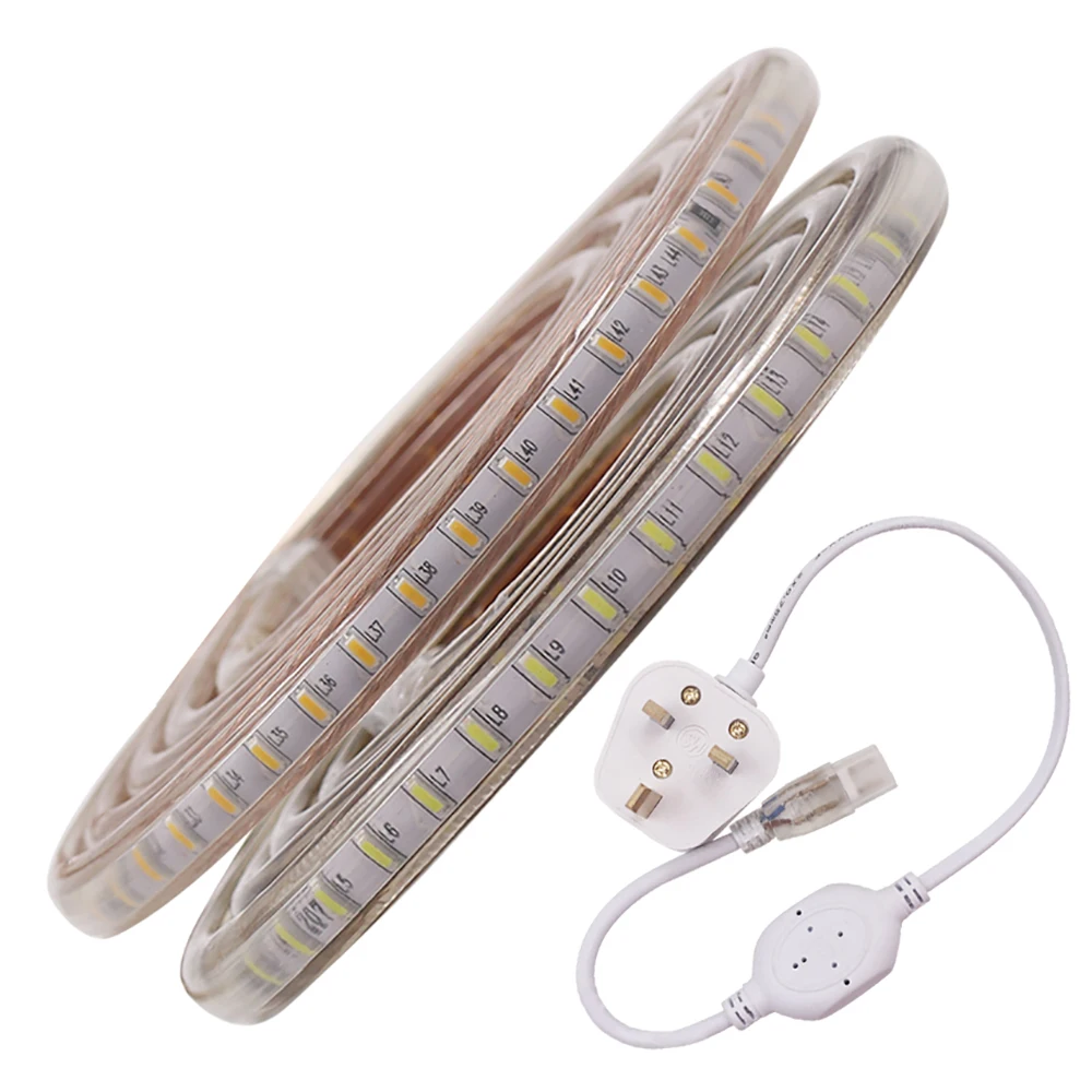 120LEDs/m SMD 3014 LED Strip Light 220V Outdoor Waterproof Lamp White Warm White Blue LED Tape Ribbon for Home Decor Lighting