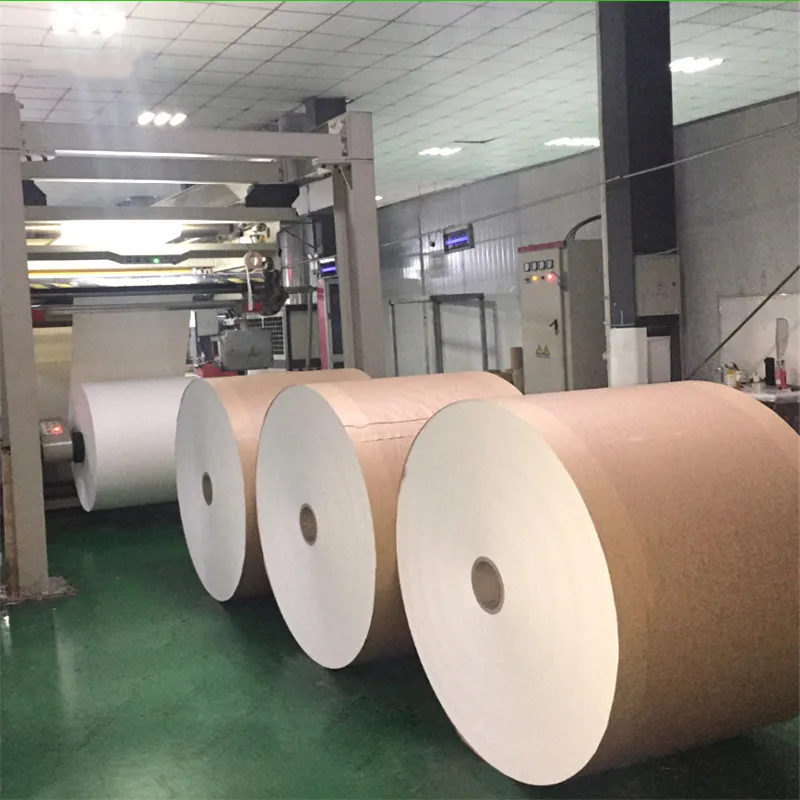 
Free Sample Pe Coated Paper Cup Raw Material For Making Paper Cup For Coffee, Tea 