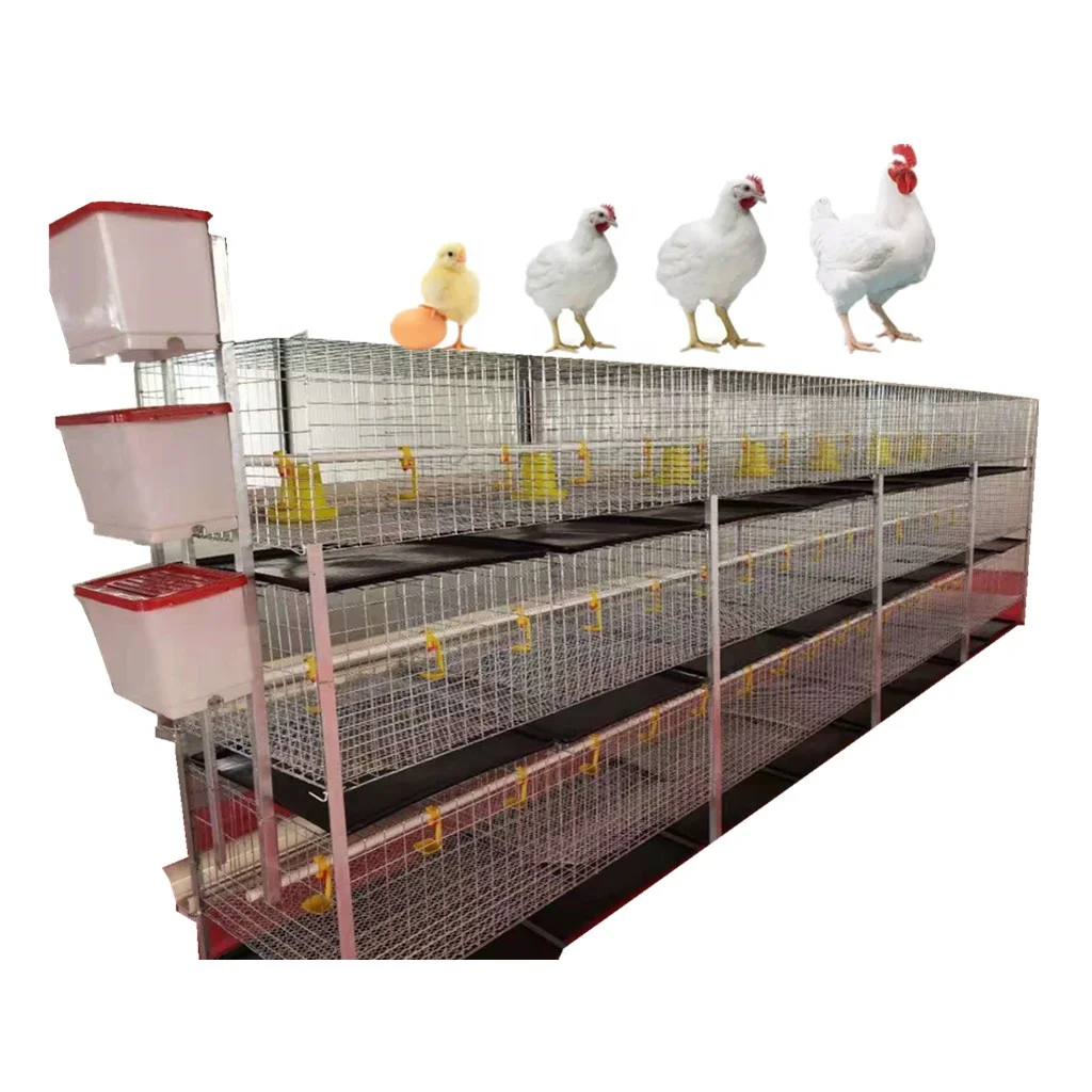 145cm*75cm*153cm Breeding cages chicken broiler cage with 3 layers