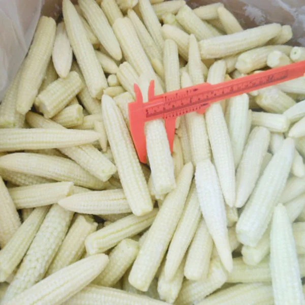 
frozen white champignon mushroom 