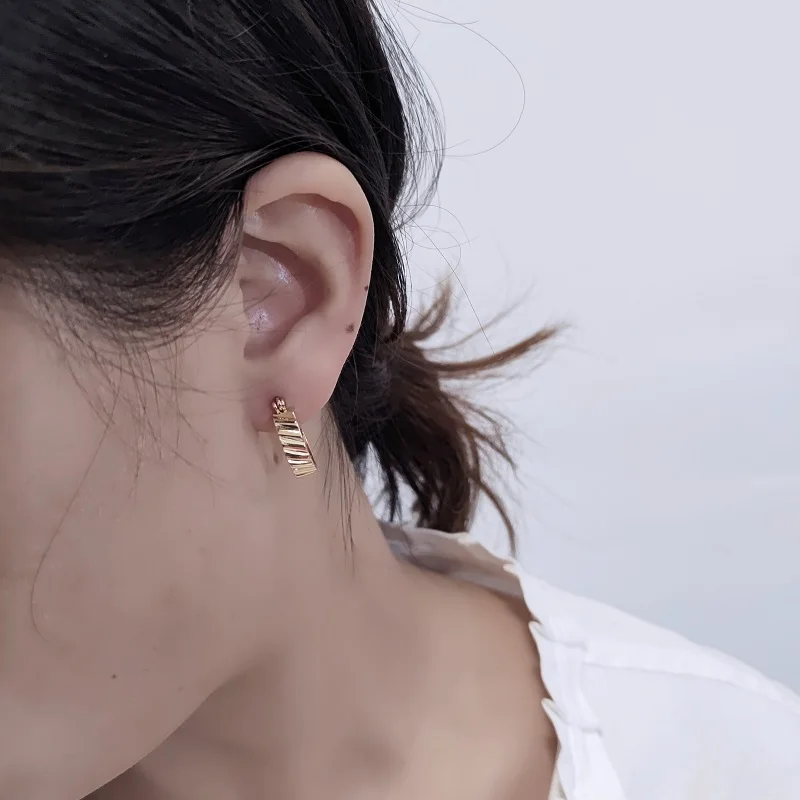 Exquisite gold plating earring women 925 sterling silver Jewelry  nickel lead free hypoallergenic hoops earrings