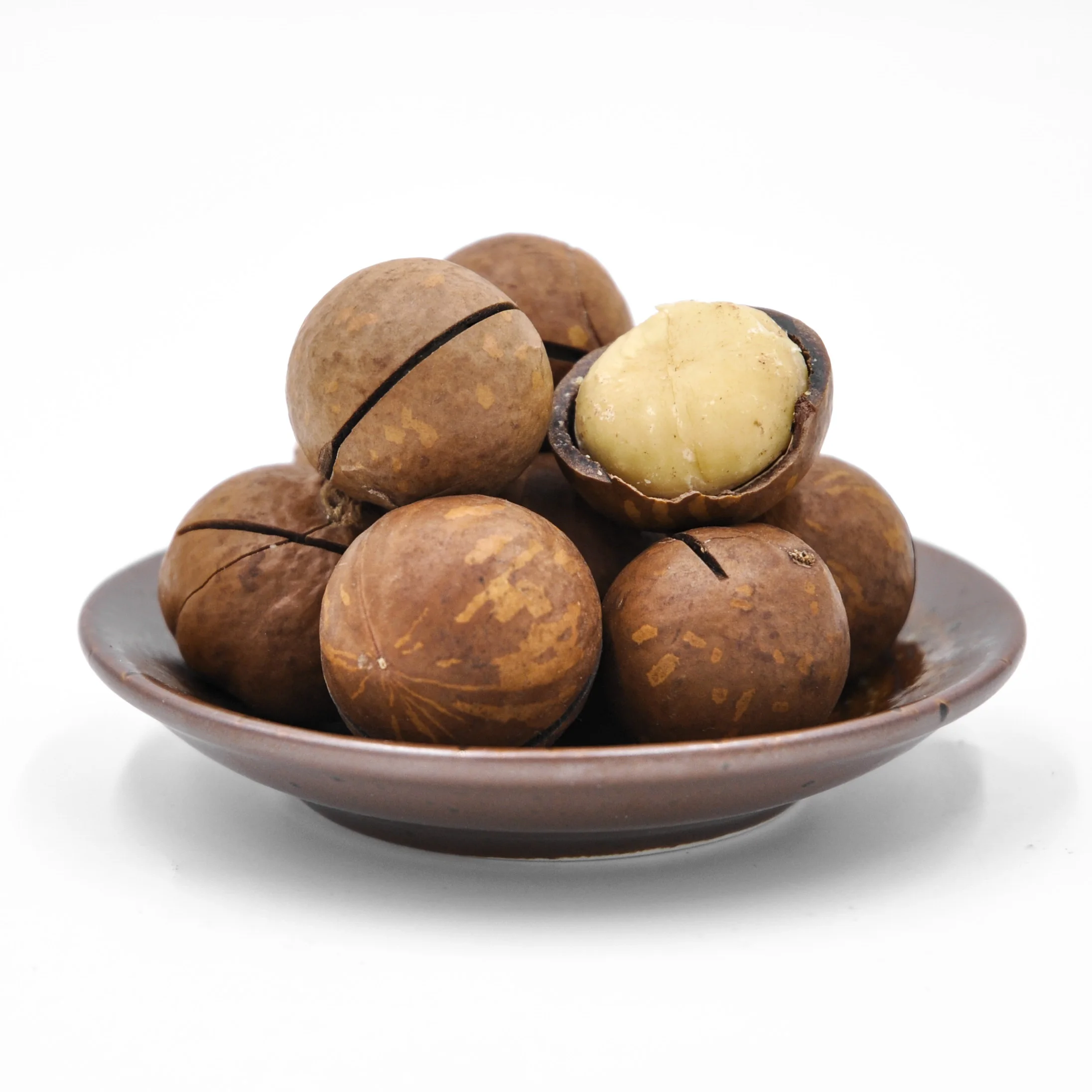 Wholesale Macadamia Nuts Factory Price Top grade Raw Macadamia Nuts