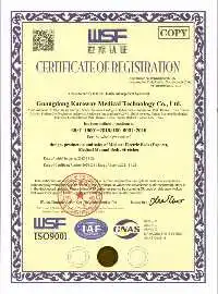 Kareway D504PZR UAE Popular Selling Electric Multi-Function Hospital Advance Icu Bed