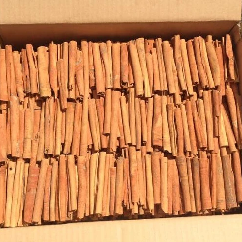 CINNAMON STICK 10CM CHEAP PRICE NEW CROP