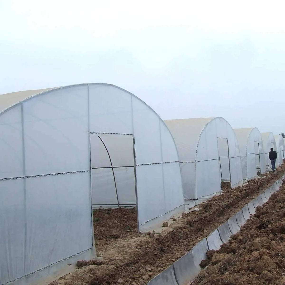 Different high efficiency frame for green house for vegetables for sale