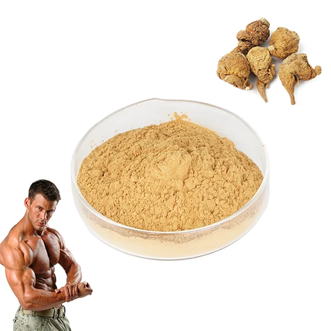 
Competitive price OEM Maca factory custom proportio HALAL KOSHER certified maca root powder raw sex 