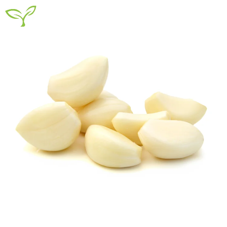 Large Packaged Clean Frozen Garlic in Sweet Taste Spicy Delicious IQF Process Bulk Packed in Carton with Cube Chunk Dice Pattern