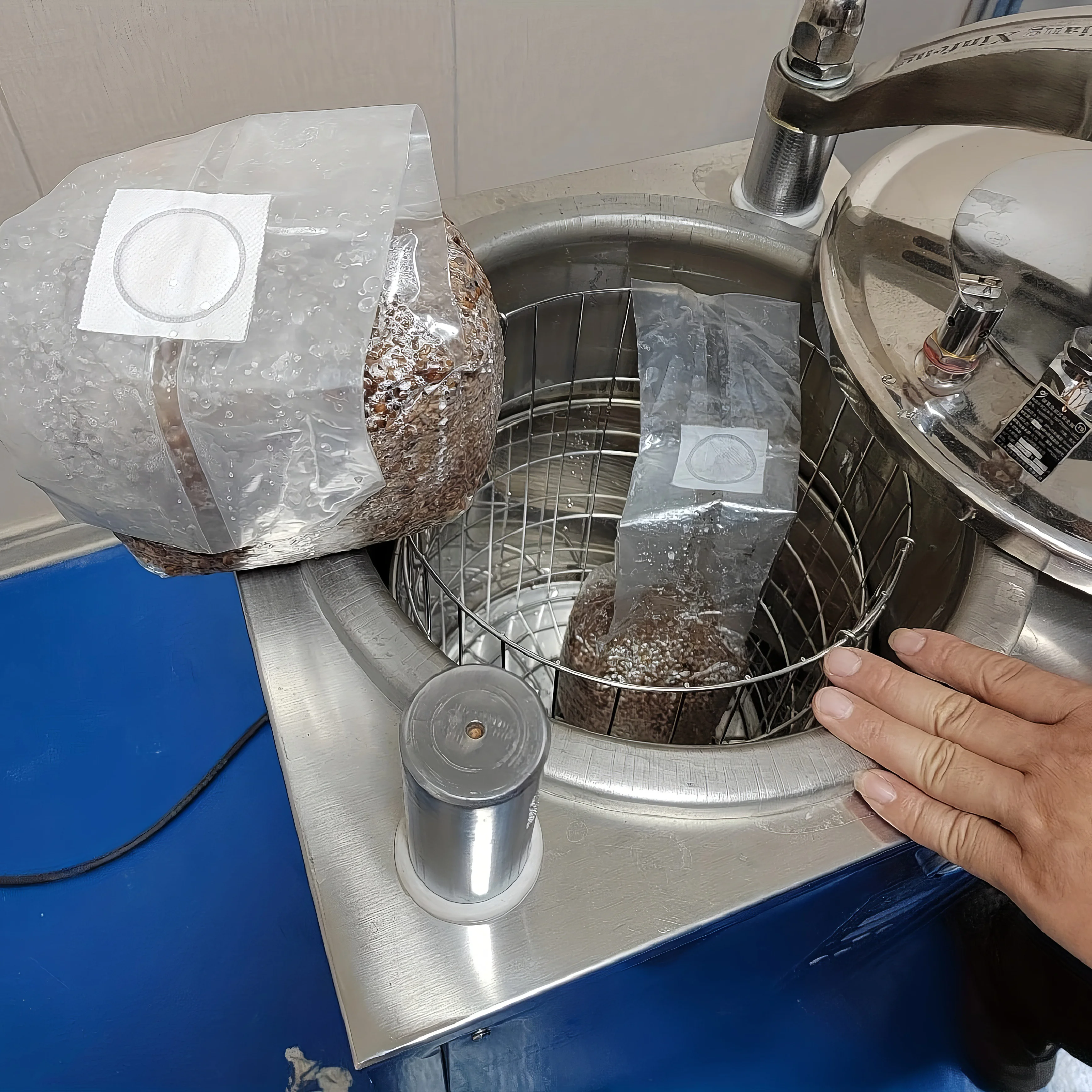 china  Clear  320*500 8 Mil Durable Mushroom Grow Spawn Cultivation Bag Substrate Growing Bags for mushroom cultivation