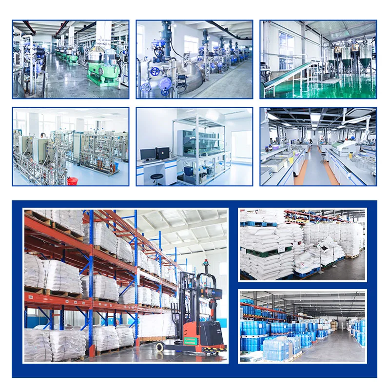 Липаза 1000000 U/g пищевые добавки CAS 9001-62-1