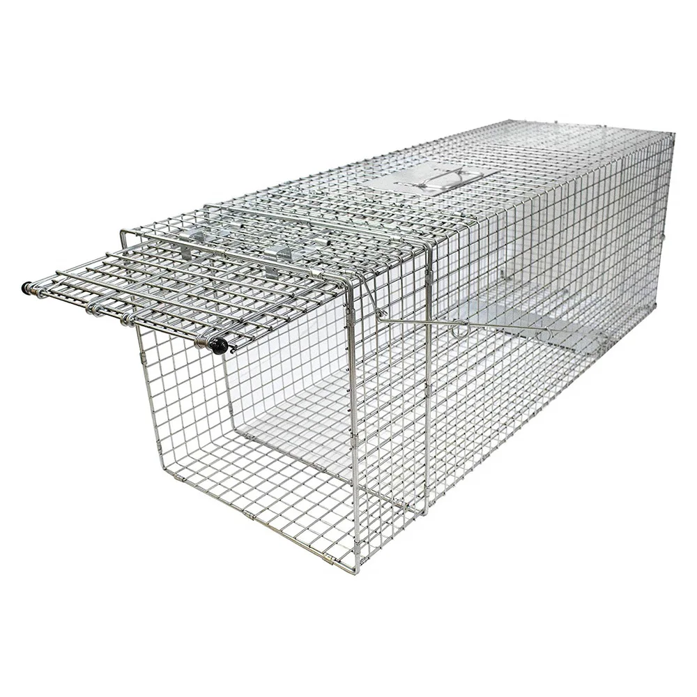 Collapsible Live Animal Trap Catch Humane Rodent Cage Wire Cage Trap