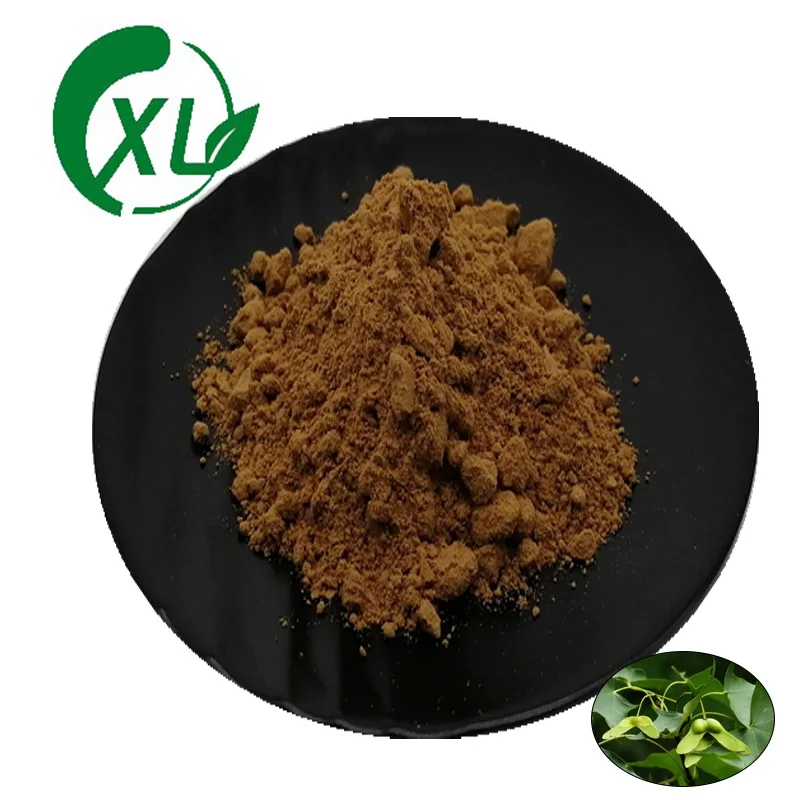 Acer Truncatum Seed Powder Best Quality Natural Acer Truncatum Extract