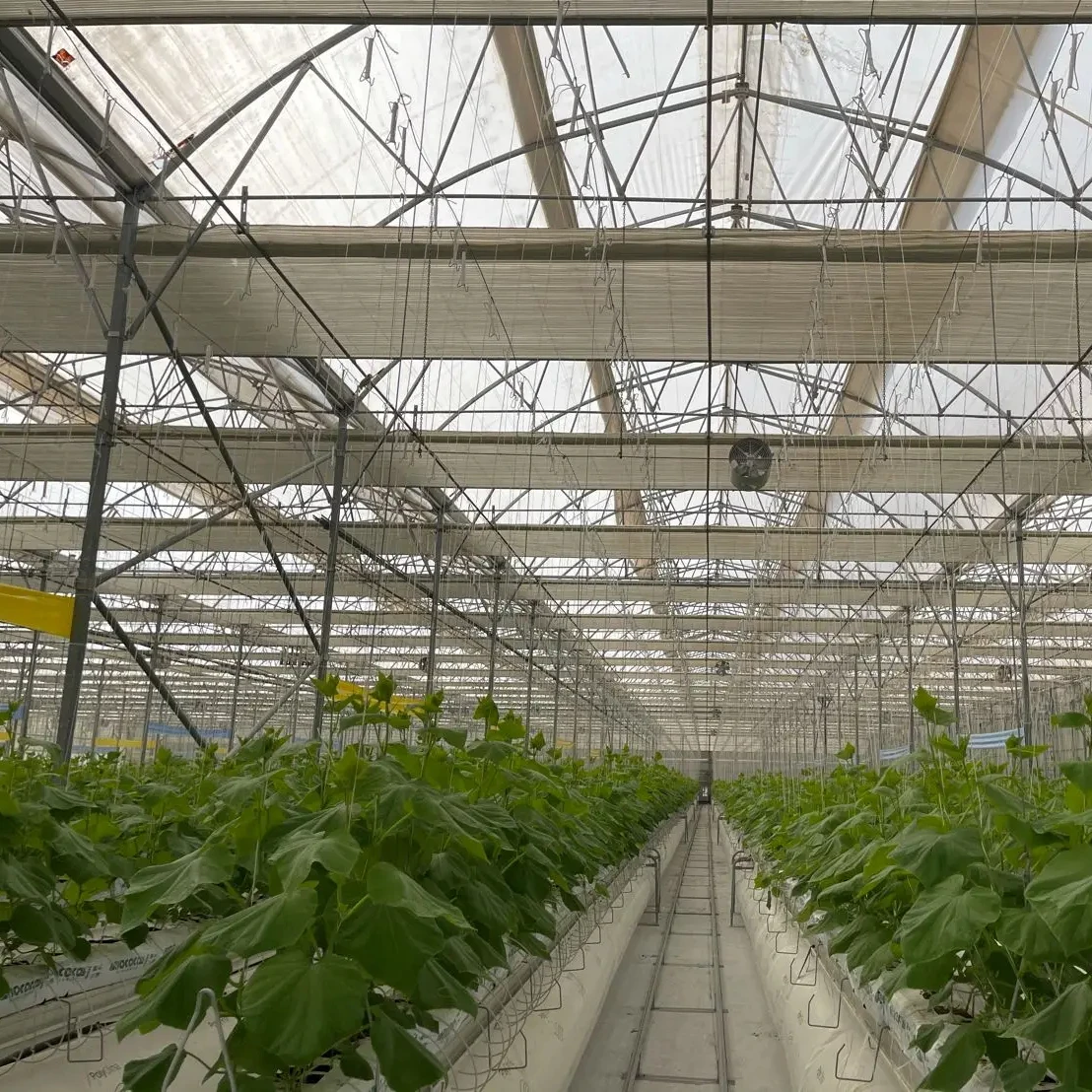 Galvanized Metal Stand Frame with 3 PVC Gutters for Substrate Gutter Hydroponics System