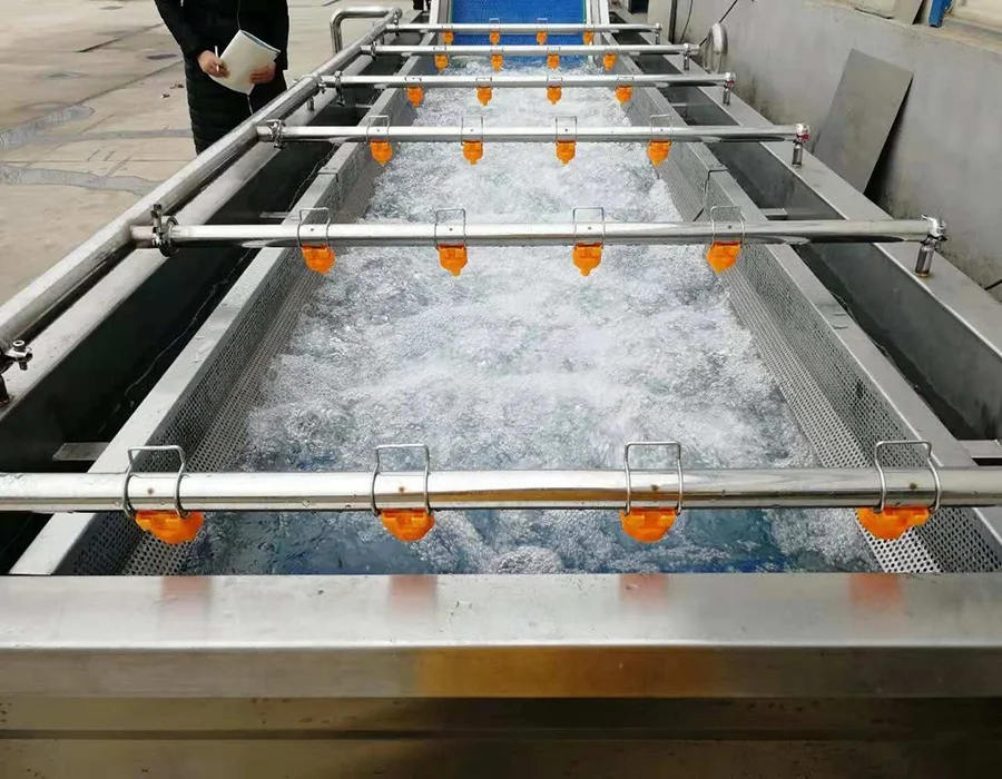 Vegetable fruits wash and dry processing machines supply vegetable washing line