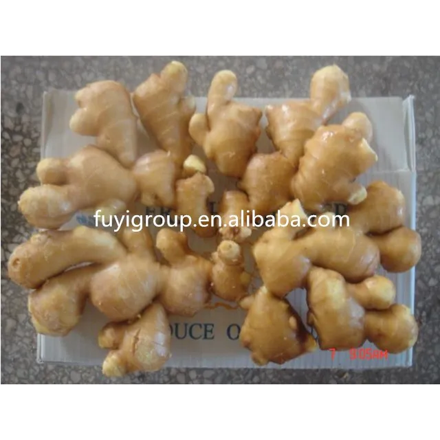 Wholesale Chinese fresh ginger air dried ginger