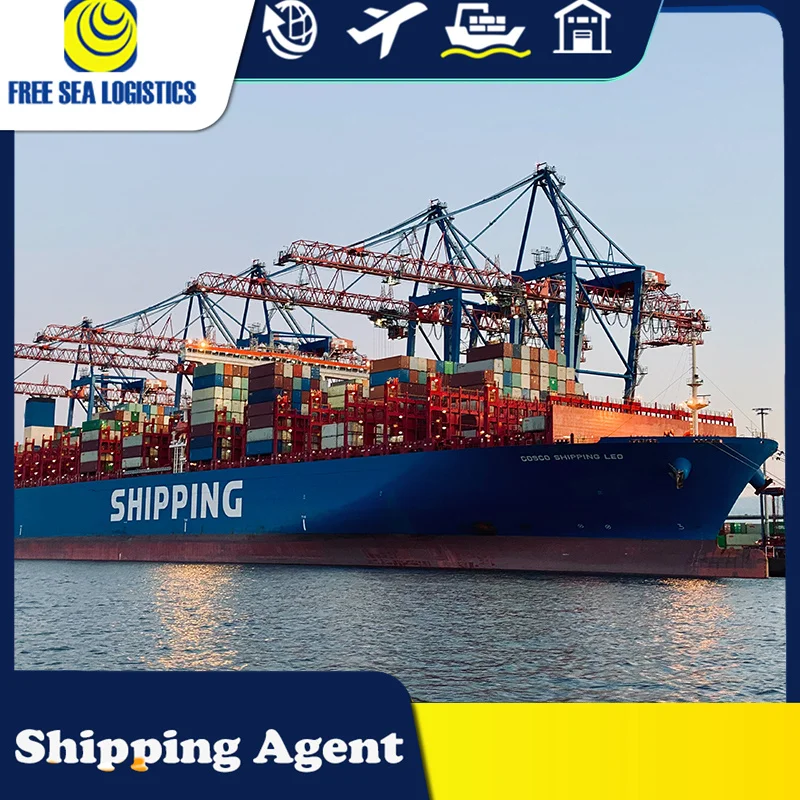 from China import export custom clearing agent provide usa uk canada customs clearance service