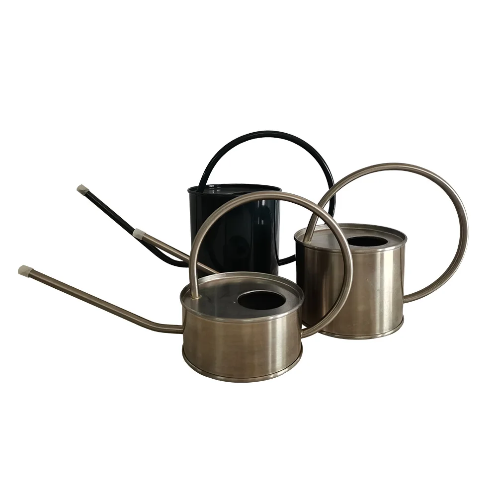 Modern Home Garden Black Watering Can Indoor Plants Slim Long Spout Steel Watering Can With Widely And Portable Hanging