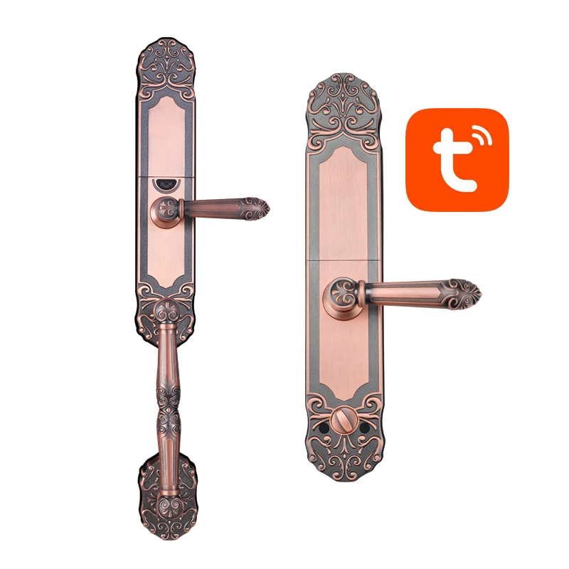 Classical European Luxury Villa smart lock villa fingerprint lock Tuya password lock double door mobile phone remote unlocking