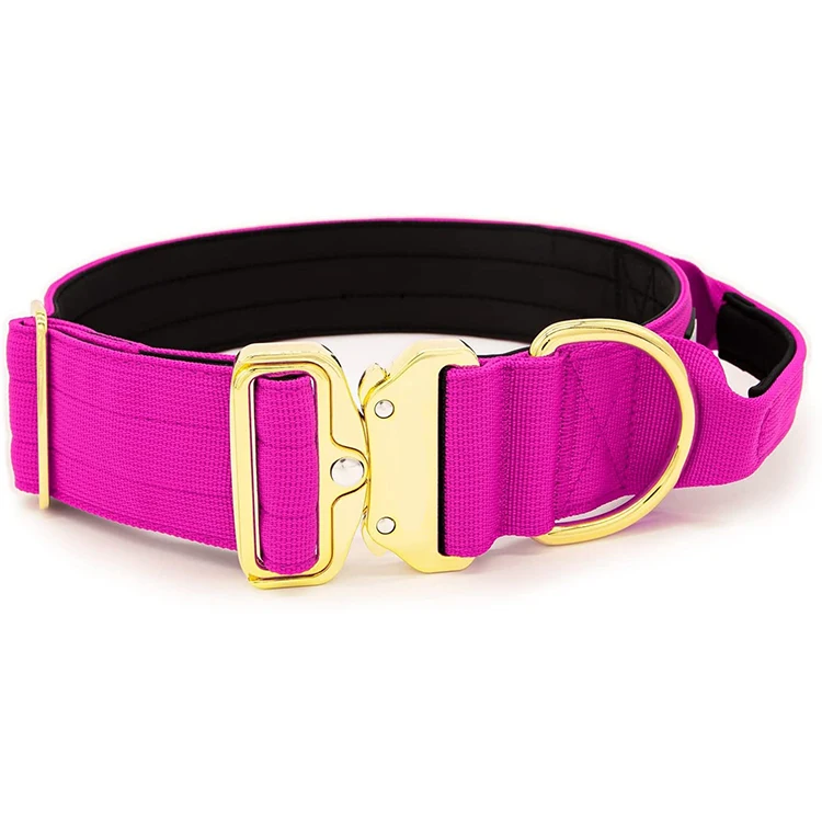 1.5 Inch Heavy Duty Neoprene Padded Combat Dog Collar with Gold Color Buckle