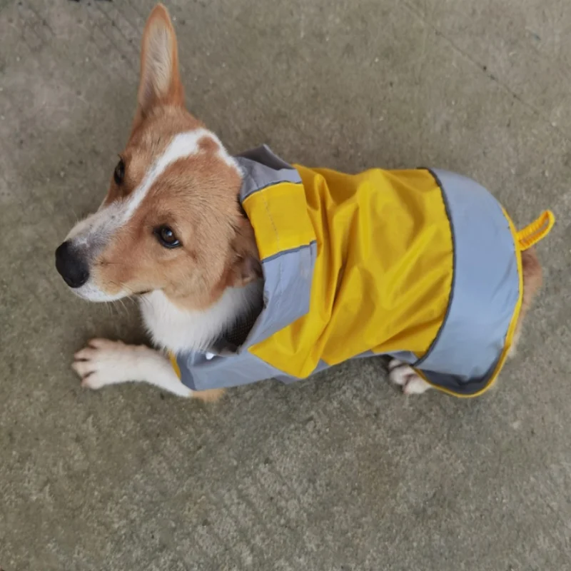 Dog raincoat lightweight custom high quality waterproof adjustable wind and pollution-free pet raincoat with rainy cloak