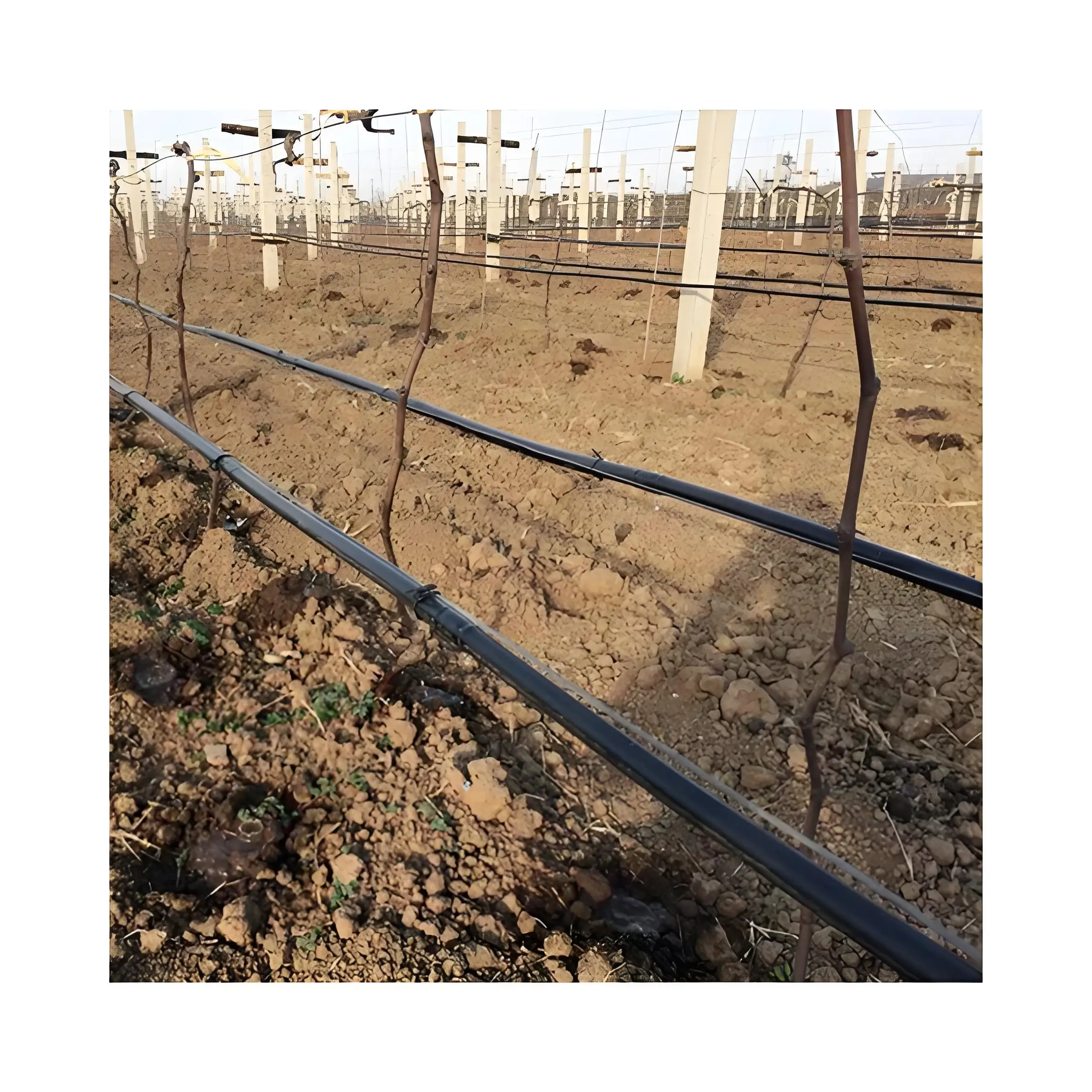 Drip irrigation tube systems for farm irrigation Water Sprinklers Irrigation System