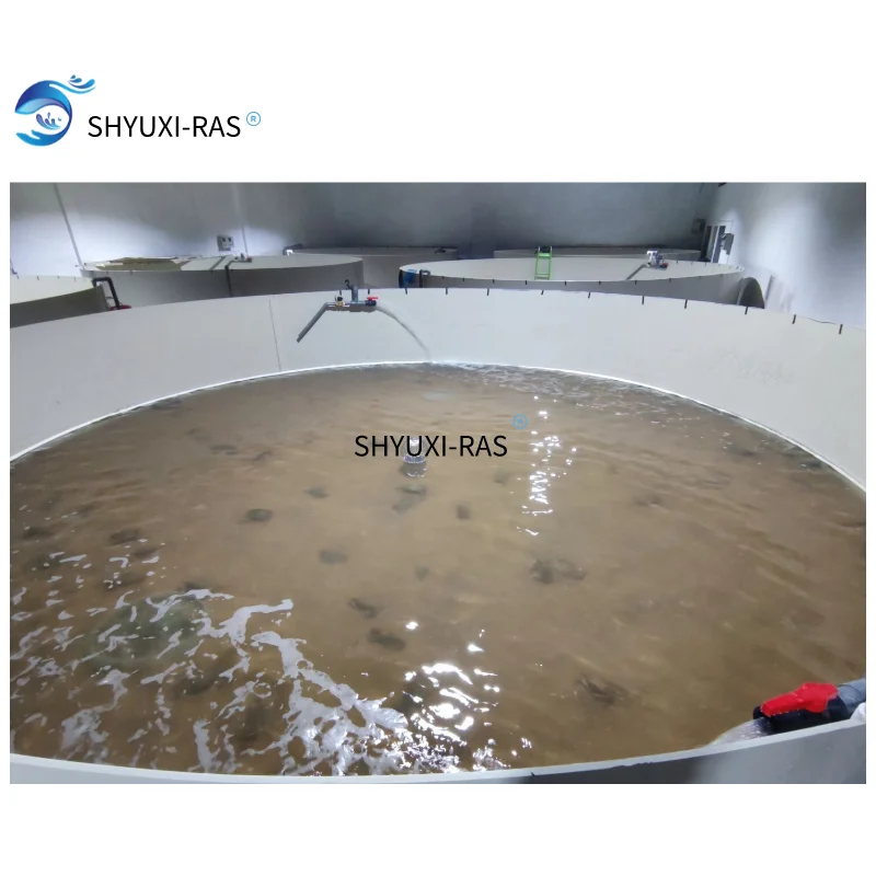 SHYUXI RAS  Circulating aquaculture equipment  for seawater portunus breeding farm