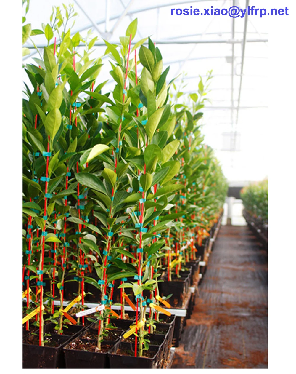 Red Color FRP Fiberglass Garden Plant Support Stakes