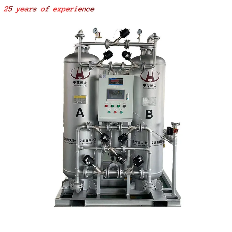 Advanced Gas Generation Equipment PSA Nitrogen Plant High Purity 95%-99.9995% Nitrogen Generator for Laboratory