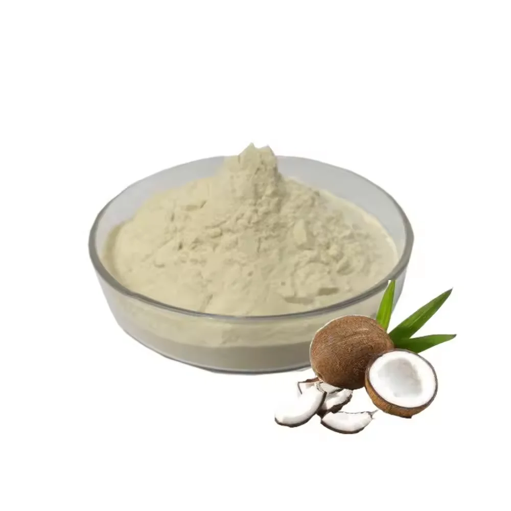 Wholesale Supplier Good Flavor 100% Natural Organic Low Fat Bulk Dried Coconut Milk Powder