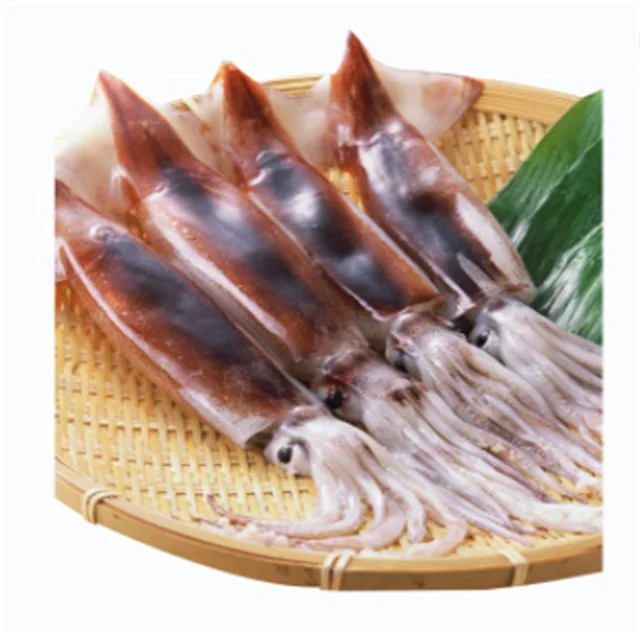 Sea Frozen Black Squid seafood export hot sales Squid