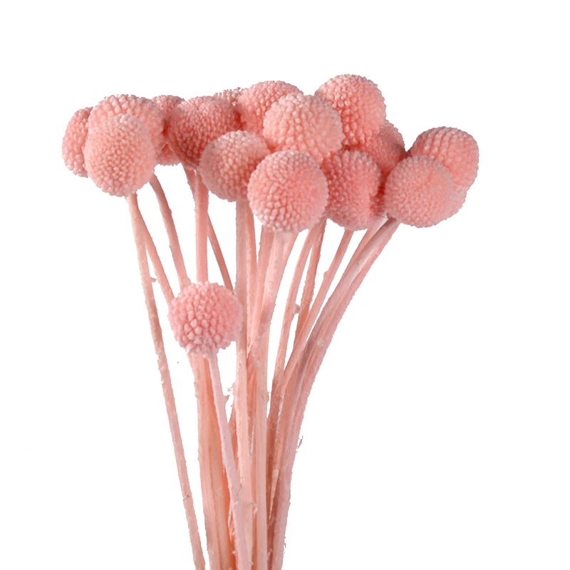 billy ball arrangement dried eternal mothers day wholesale preserve everlasting natural plants flower bouquet preserved flower