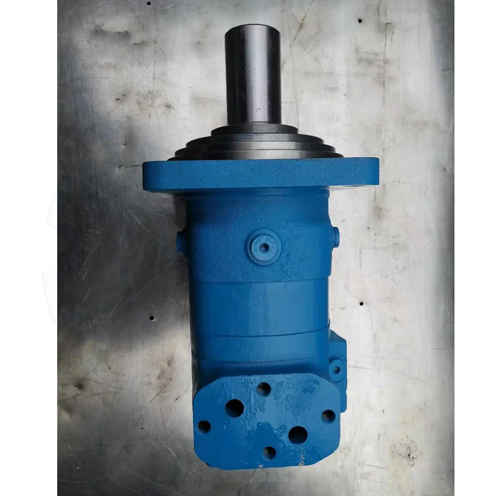 HS BM6 Series BM6 245 310 390 490 630 800 985 Orbit Hydraulic Motor OEM OMT/6K/6000/BMK6/BMT/HMT/BM6