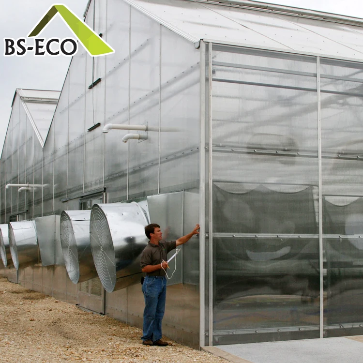 Multi Span Pc Sheet Greenhouse With Aquaponics Growing Systems