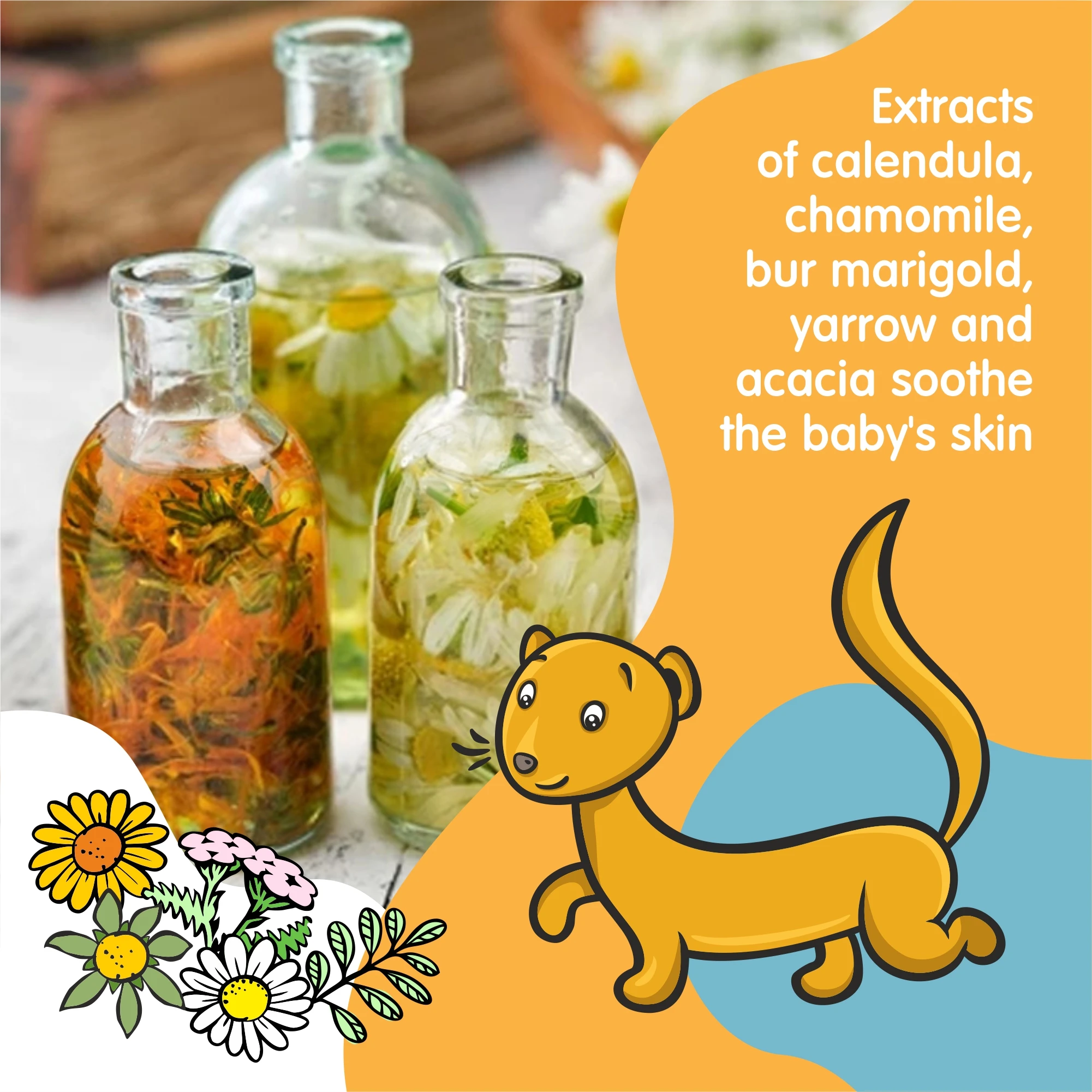 Best seller 2022 RIKI TIKIBABY BODY MOISTURIZING CREAM 75 ml natural skin care with low price